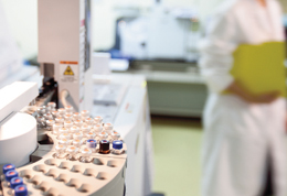 ���̿��Ǿ����