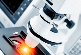 �����ڼ������