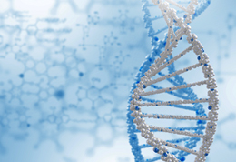 �ǻ�������